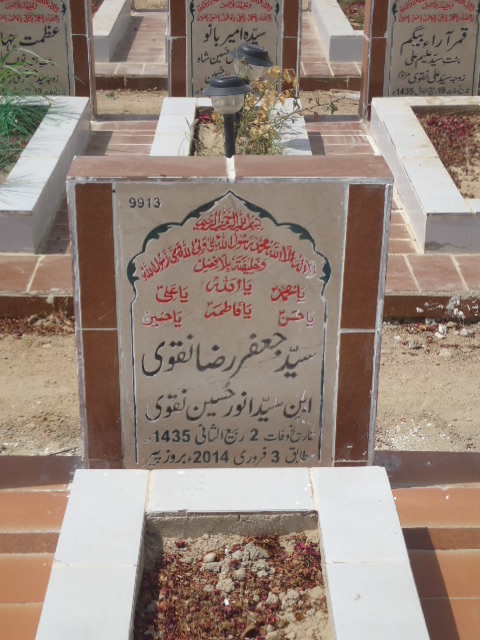 9913 – Syed Jaffar Raza Naqvi