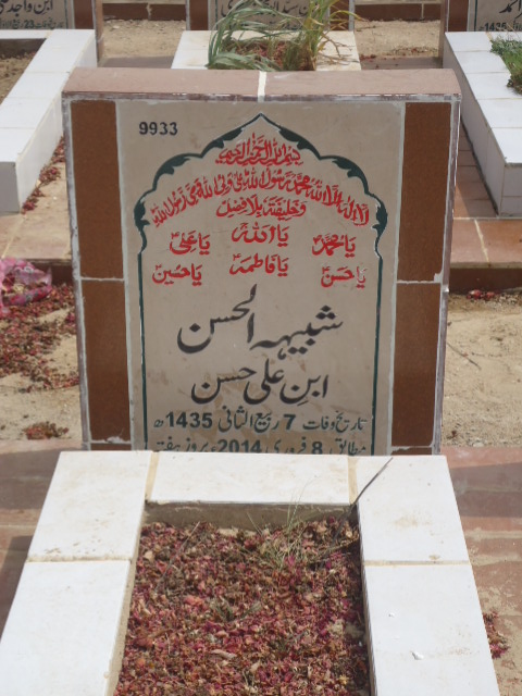 9933 – Shabhi Ul Hasan