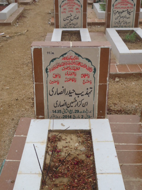 10011 – Tehzeeb Haider Ansari