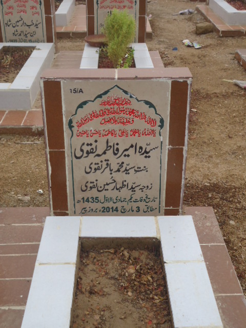 10015 – Syed Ameer Fatima Naqvi