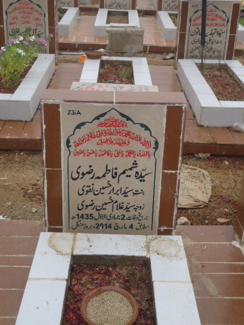 10023 – Syeda Shamim Fatima Rizvi