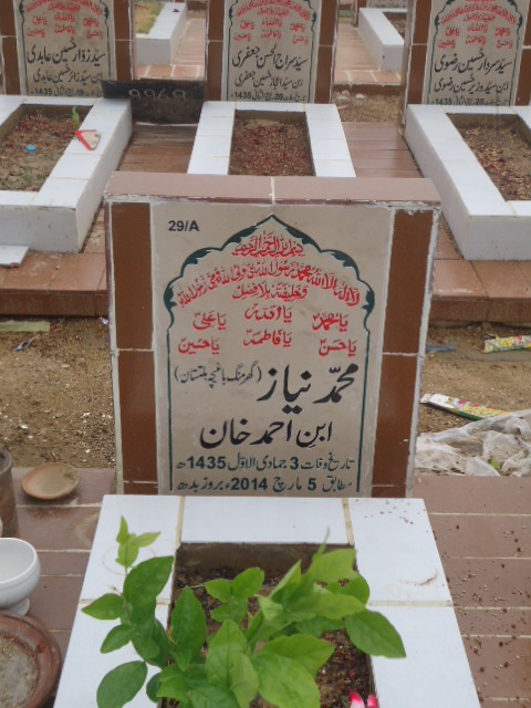 10029 – Muhammad Niyaz