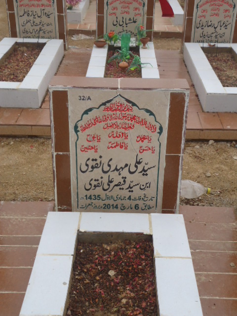 10032 – Syed Ali Mehdi Naqvi