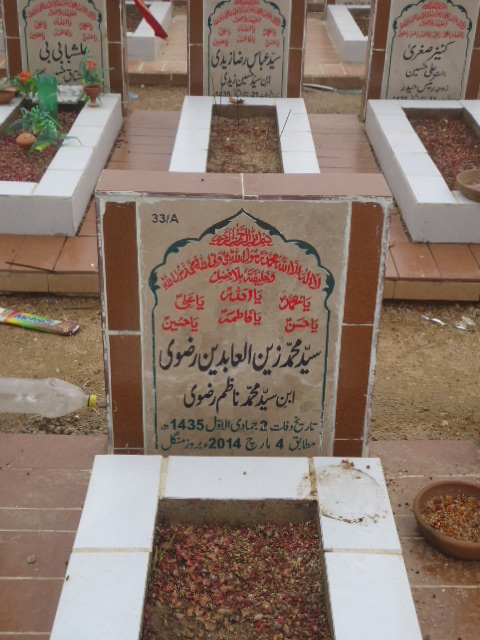 10033 – Syed Muhammad Zain Ul Abideen Rizvi