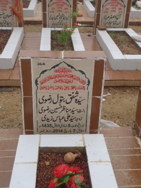10038 – Syeda Shafaq Batool Rizvi