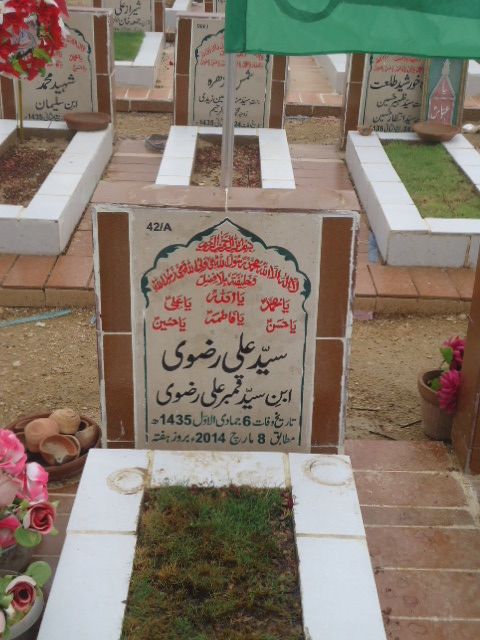 10042 – Syed Ali Rizvi