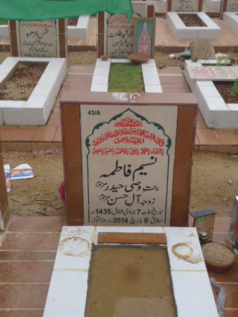 10043 – Naseem Fatima