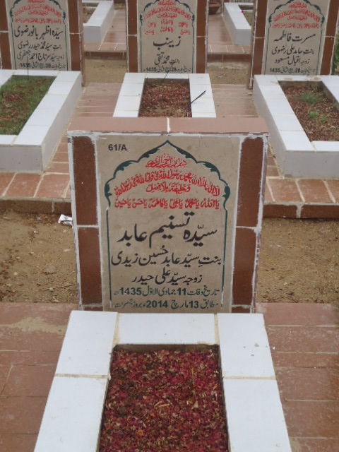 10061 – Syeda Tasneem Abid