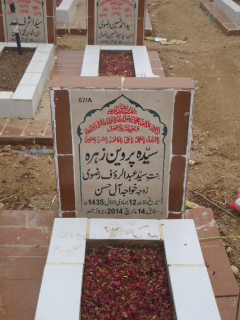10067 – Syeda Parveen Zehra