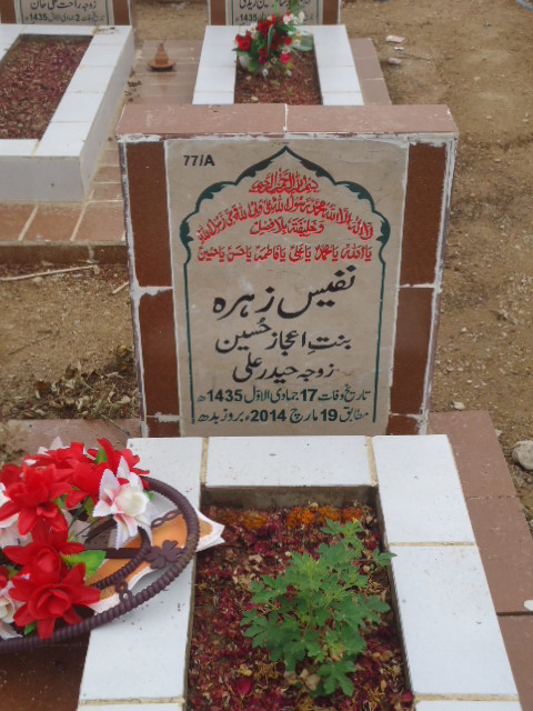 10077 – Nafees Zehra