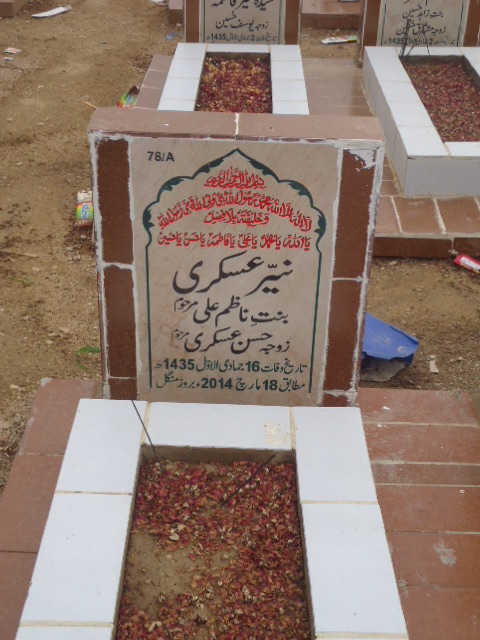10078 – Nayyer Askari