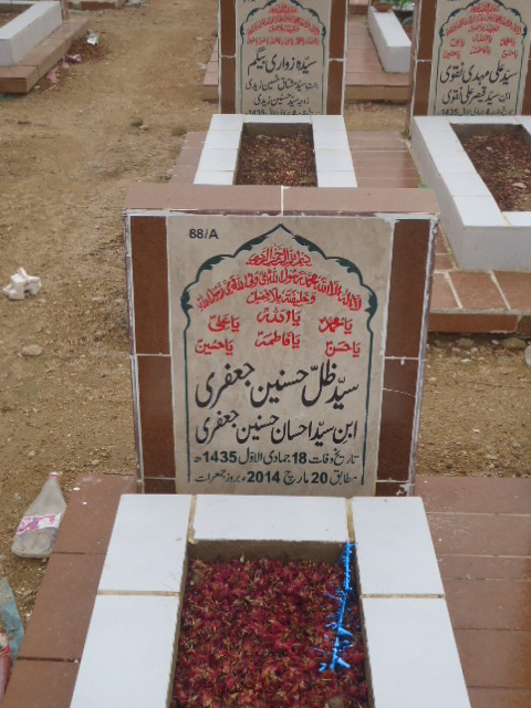 10088 – Syed Zille Hasnain Jaffery