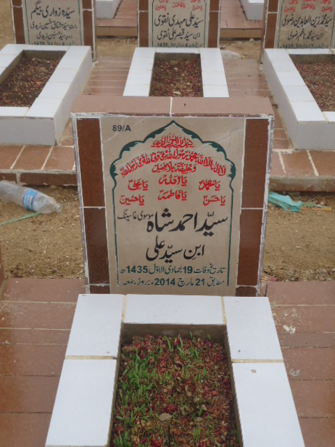 10089 – Syed Ahmed Shah