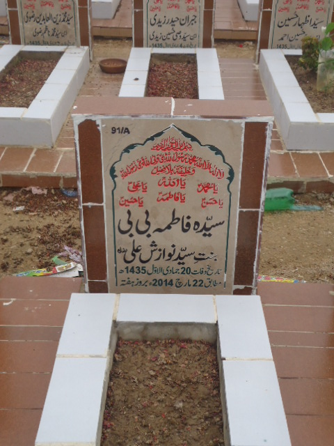 10091 – Syeda Fatima Bibi