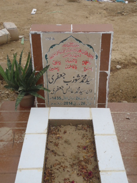 10110 – Syed Muhammad Shozab Jaffery
