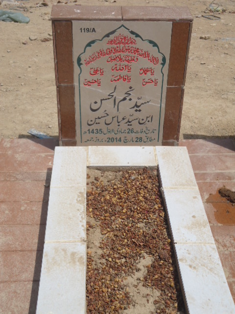 10119 – Syed Najam Ul Hasan