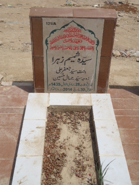 10121 – Syeda Shamim Zehra
