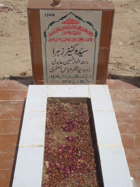 10124 – Syeda Kaneez Zehra