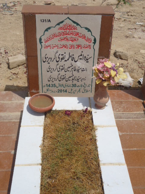 10131 – Syeda Anees Fatima Naqvi