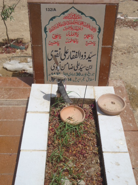 10132 – Syed Zulfiqar Ali Naqvi