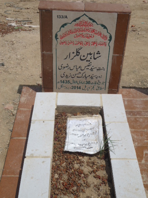 10133 – Shaheen Gulzar