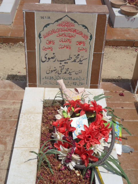 10161 – Syed Muhammad Tayyab Rizvi