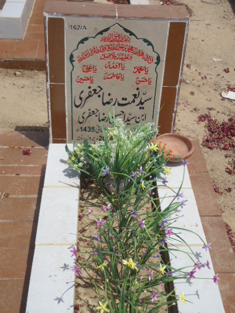 10162 – Syed Nemat Raza Jaffery