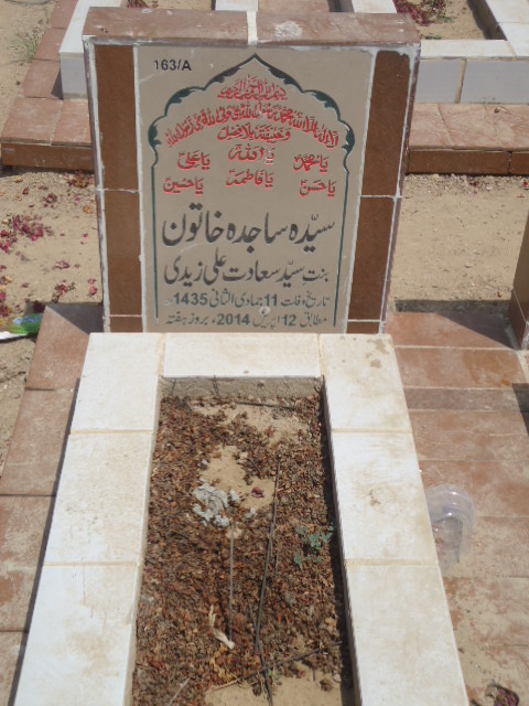 10163 – Syeda Sajida Khatoon