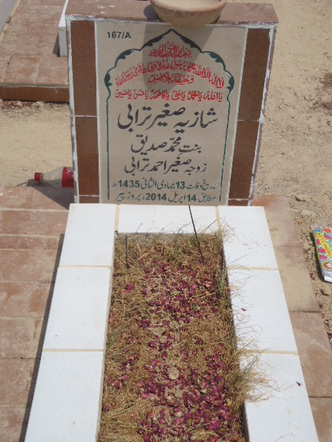 10167 – Shazia Sagheer Turabi
