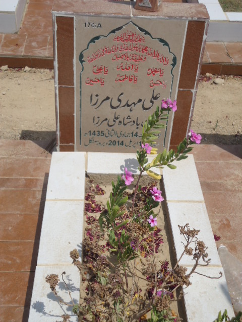 10170 – Ali Mehdi Mirza