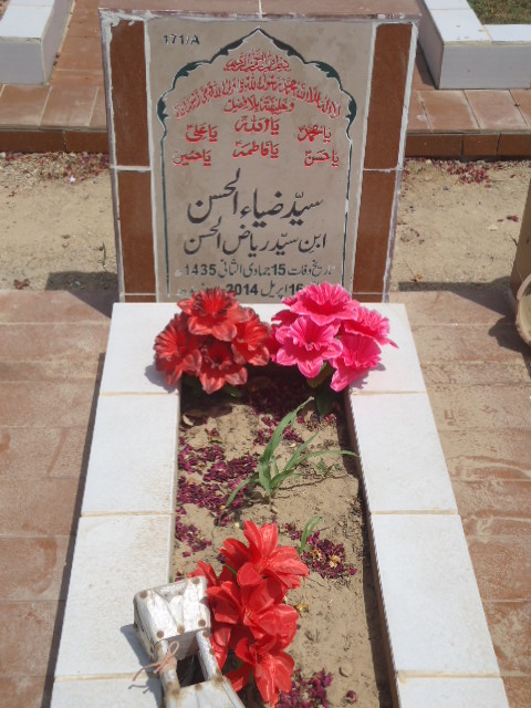 10171 – Syed Zia Ul Hasan