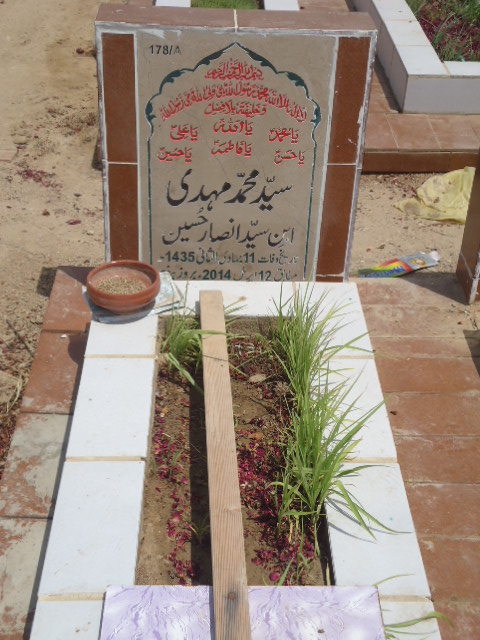 10178 – Syed Muhammad Mehdi