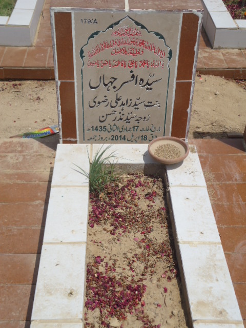 10179 – Syeda Afsar Jahan