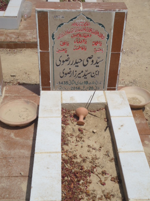 10187 – Syed Wasi Haider Rizvi