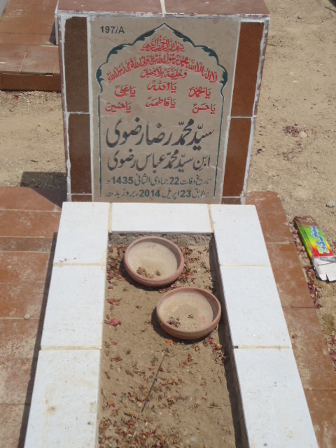 10197 – Syed Muhammad Raza Rizvi