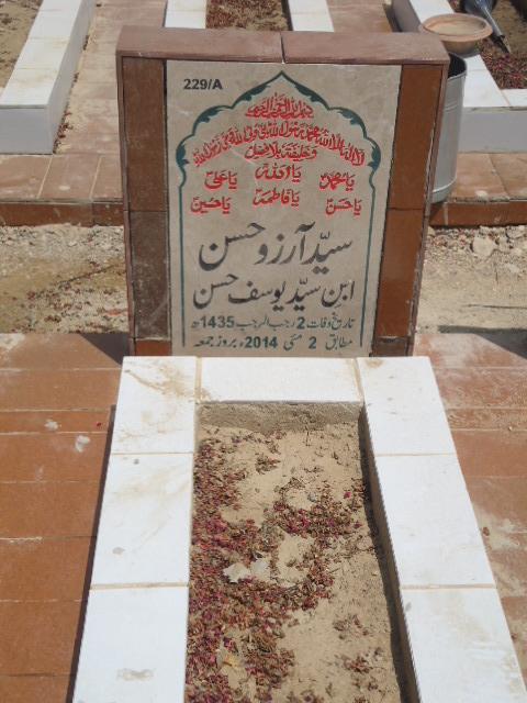 10229 – Syed Arzoo Hasan