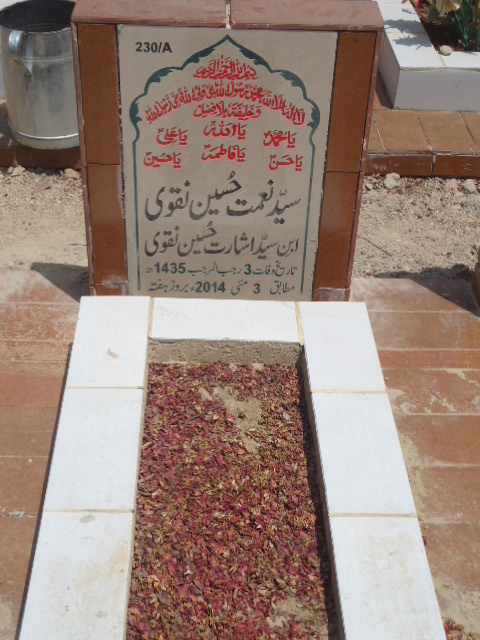 10230 – Syed Nemat Hussain Naqvi