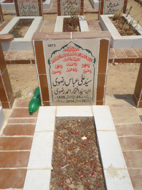 9873 – Syed Ali Abbas Rizvi