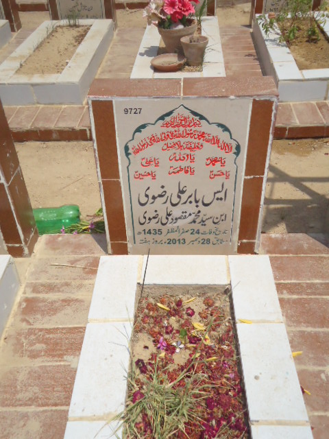 9727 – S Babar Ali Rizvi