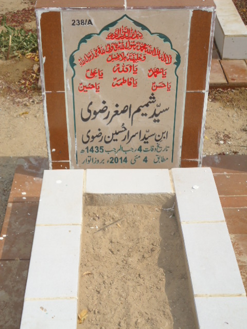 10238 – Syed Shamim Asghar Rizvi