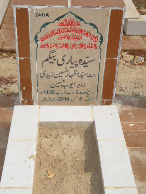 10241 – Syeda Piyari Begem