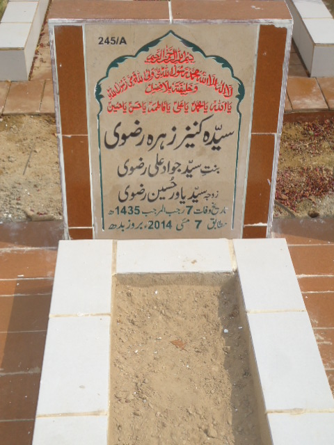 10245 – Syeda Kaneez Zehra Rizvi