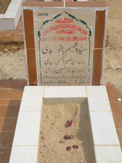 10247 – Syeda Shamim Bano Zaidi