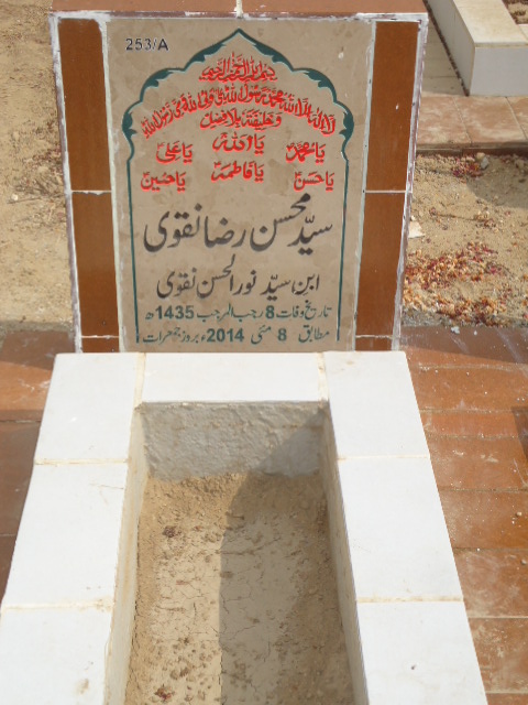10253 – Syed Mohsin Raza Naqvi