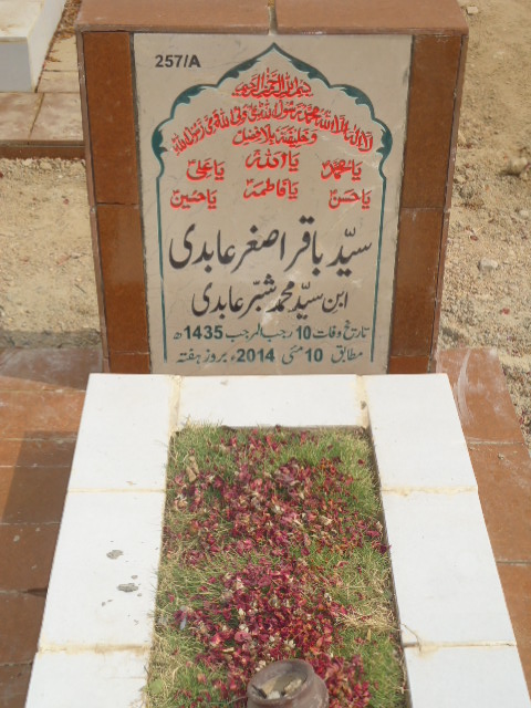 10257 – Syed Baqar Asghar Abidi