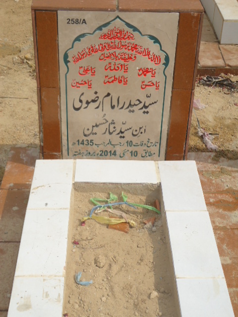 10258 – Syed Haider Imam Rizvi