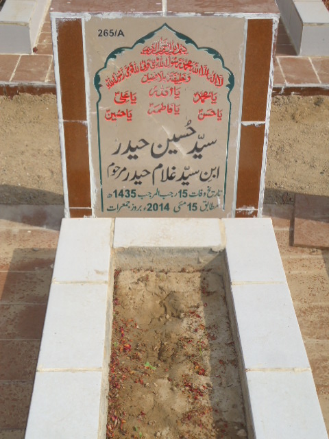 10265 – Syed Hussain Haider