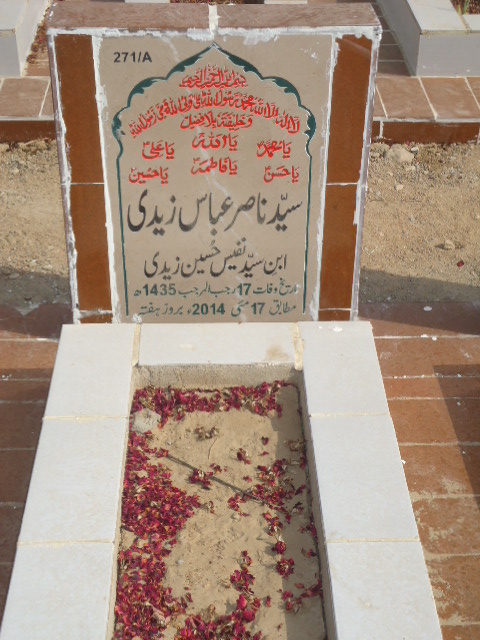 10271 – Syed Nasir Abbas Zaidi