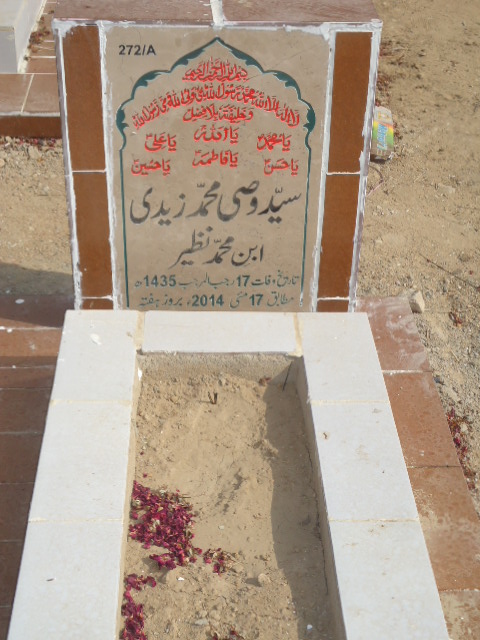 10272 – Syed Wasi Muhammad Zaidi