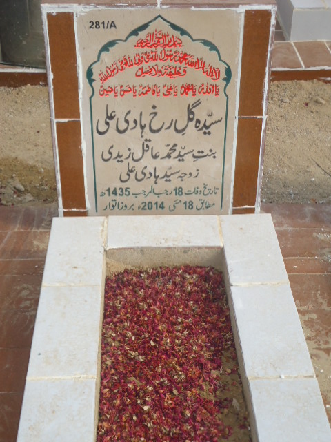 10281 – Syeda Gul Rukh Hadi Ali